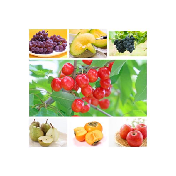 ■お礼品詳細　・配送種別：冷蔵便　・提供元：株式会社エナジーファーム■お申し込み・配送・その他　・発送時期：【1回目】発送月の前月20日までのお支払いで発送月上旬より順次発送【2回目以降】発送月上旬より順次発送　・申込受付期間：通年　・配達...