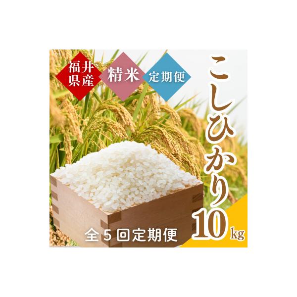 【毎月定期便】福井県産こしひかり白米10kg全5回
