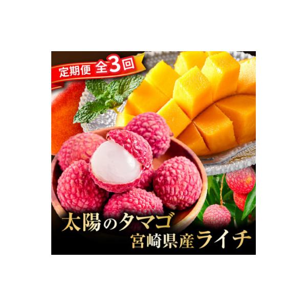 ■お礼品詳細　・配送種別：冷蔵便　・提供元：株式会社フレームワーク■お申し込み・配送・その他　・発送時期：【1回目】発送月の前月20日までのお支払いで発送月上旬より順次発送【2回目以降】発送月上旬より順次発送　・申込受付期間：〜2026-0...