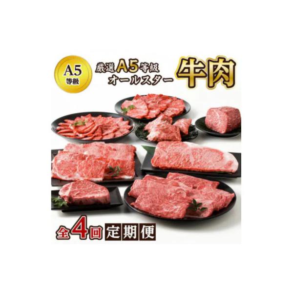 【発送月固定定期便】厳選A5等級オールスター牛肉定期便(南九州市)全4回
