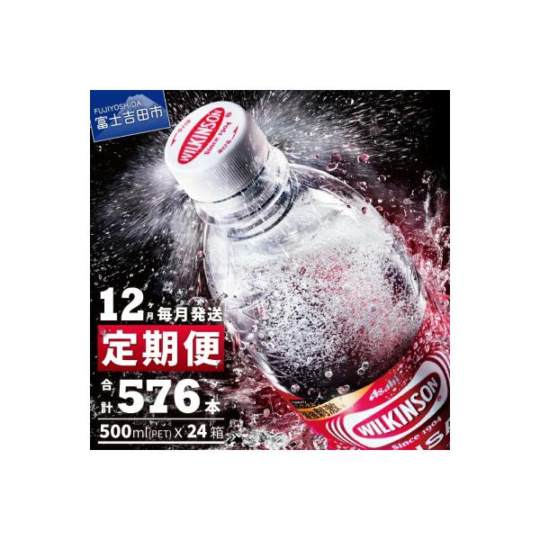 【毎月定期便】強炭酸水 ウィルキンソン タンサン500ml×2箱(48本入) アサヒ飲料全12回