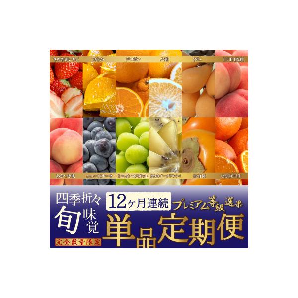 ふるさと納税 高松市 【発送月固定定期便】〜プレミアム等級選果〜四季折々旬味覚!12ヶ月連続単品定期便♪全12回