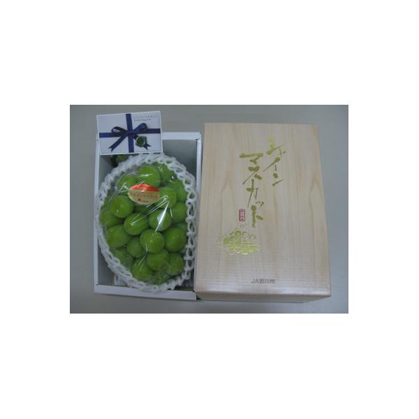 ふるさと納税 高松市 【発送月固定定期便】【ALL化粧箱】高松市自慢のフルーツ定期便【X】全4回