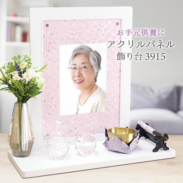 ANpl at 3915uE/zCg APKD-3915 