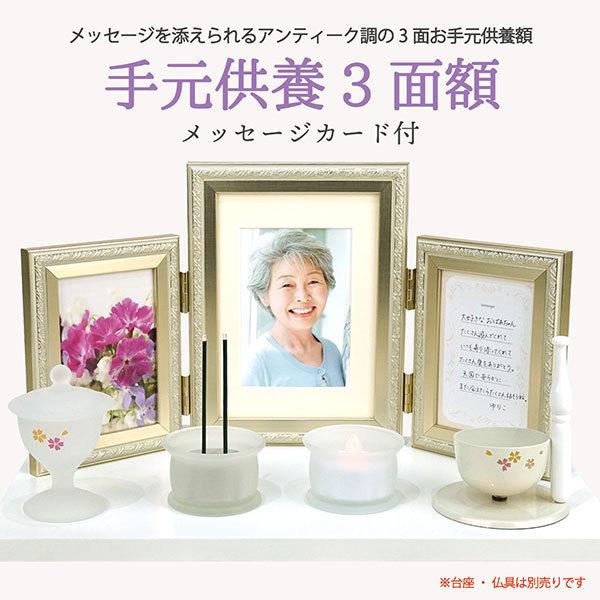 tHgt[ bZ[WJ[ht 3ʊz 茳{ Vo[ TMK3-SL L TMK3-CA 