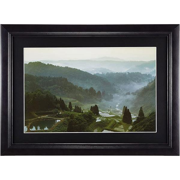 ؐz Ch6 YM-1 ubN tWJ[ 󔭒i