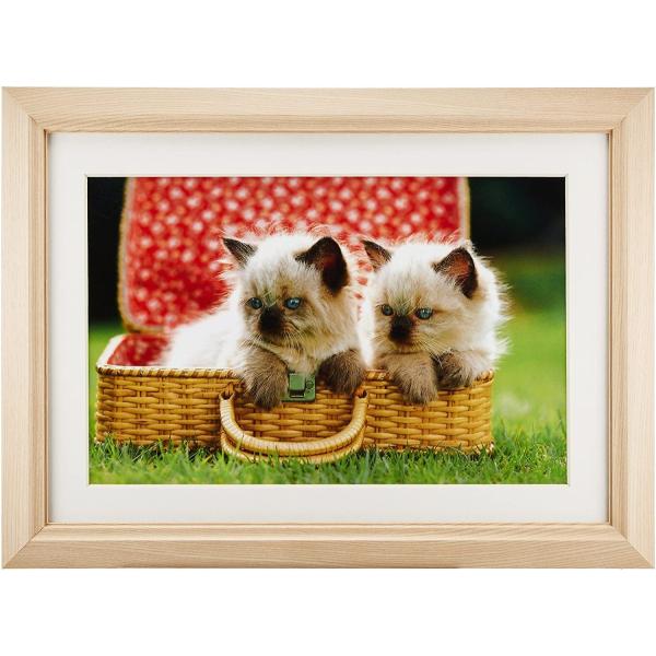 ؐz M12 AN Ch6 ؒn tWJ[ 󔭒i