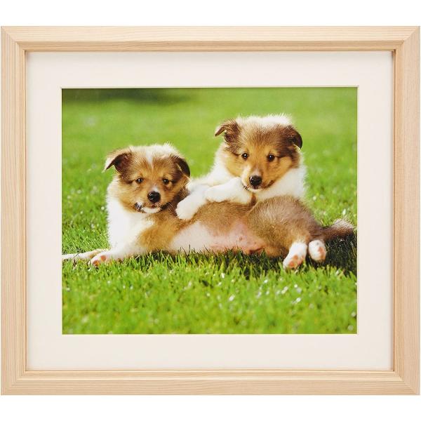 ؐz M12 AN 4 ؒn tWJ[ 󔭒i