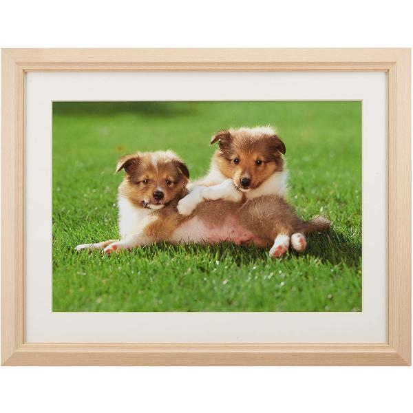 ؐz M12 AN Ch4 ؒn tWJ[ 󔭒i