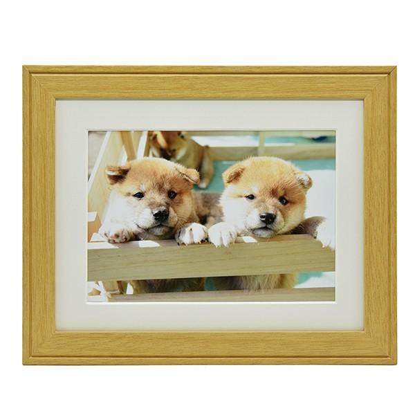 ؐz YM-9 Lrl(2L) ؒn tWJ[