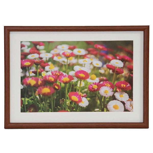 ؐz Ch6 M21 uE tWJ[ 󔭒i