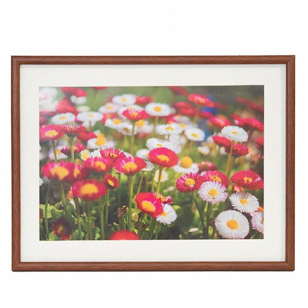 ؐz Ch4 M21 uE tWJ[ 󔭒i