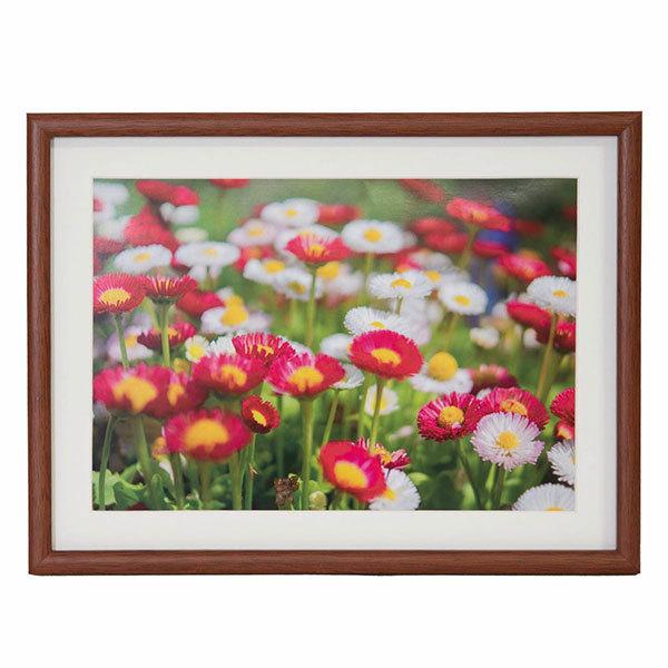 ؐz A4 M21 uE tWJ[ 󔭒i