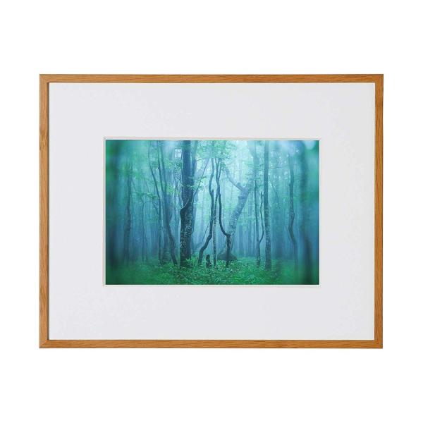 A~z M[ 2L i` AGY-2L-NA PR[EgLi[ 󔭒i