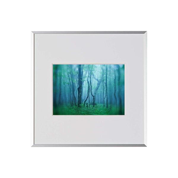 A~z M[ 2LXNGA Vo[ AGY-2LSQ-SV PR[EgLi[ 󔭒i