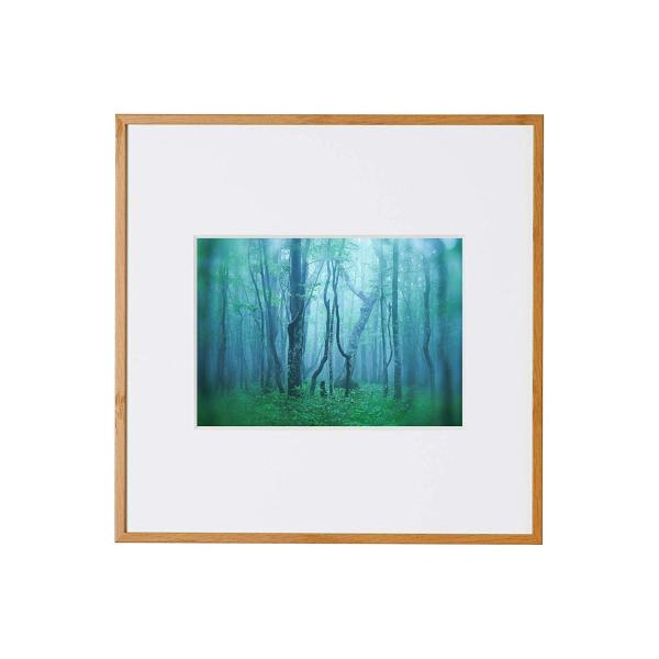 A~z M[ 2LXNGA i` AGY-2LSQ-NA PR[EgLi[ 󔭒i