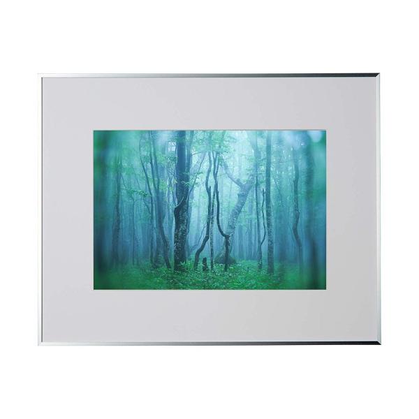 A~z M[ Chl Vo[ AGY-W4-SV PR[EgLi[ 󔭒i