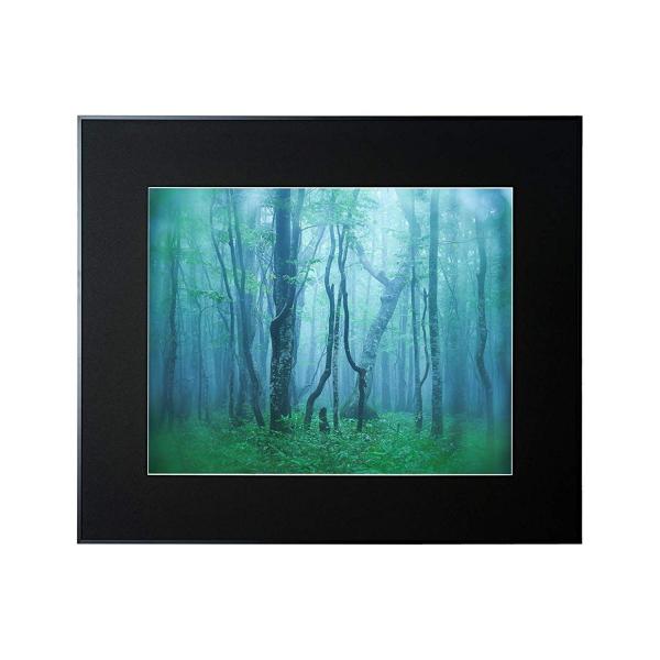 A~z M[ S ubN AGY-Z-BK PR[EgLi[ 󔭒i(^Kp)