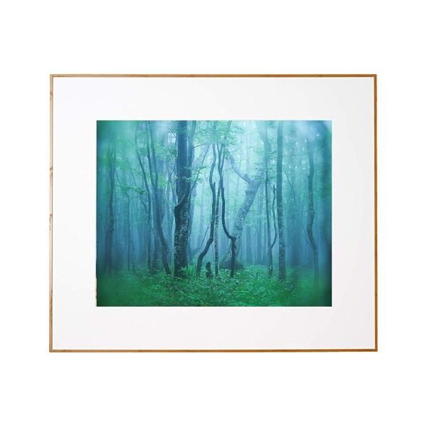 A~z M[ S i` AGY-Z-NA PR[EgLi[ 󔭒i(^Kp)