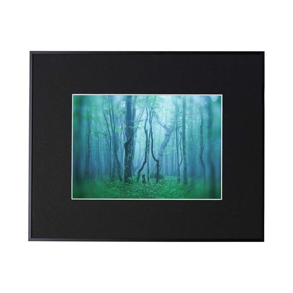 A~z M[ A4 ubN AGY-A4-BK PR[EgLi[ 󔭒i