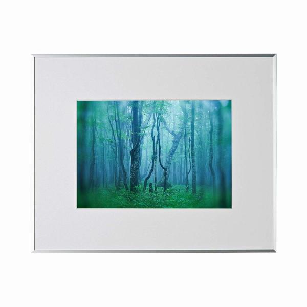 A~z M[ A4 Vo[ AGY-A4-SV PR[EgLi[ 󔭒i