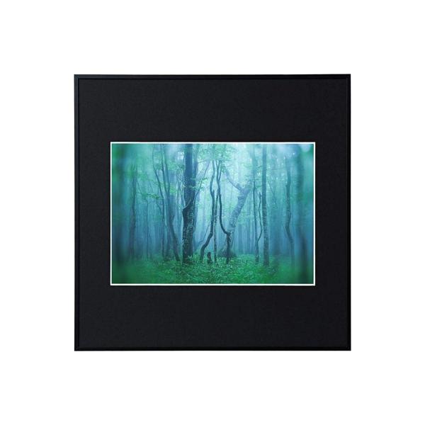 A~z M[ A4XNGA ubN AGY-A4SQ-BK PR[EgLi[ 󔭒i