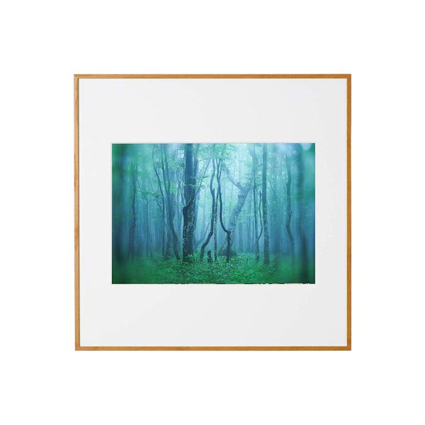 A~z M[ A4XNGA i` AGY-A4SQ-NA PR[EgLi[ 󔭒i