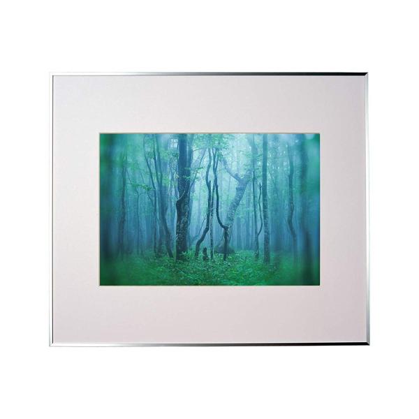 A~z M[ A3 Vo[ AGY-A3-SV PR[EgLi[ 󔭒i