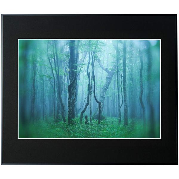 A~z M[ A2 ubN AGY-A2-BK PR[EgLi[ 󔭒i