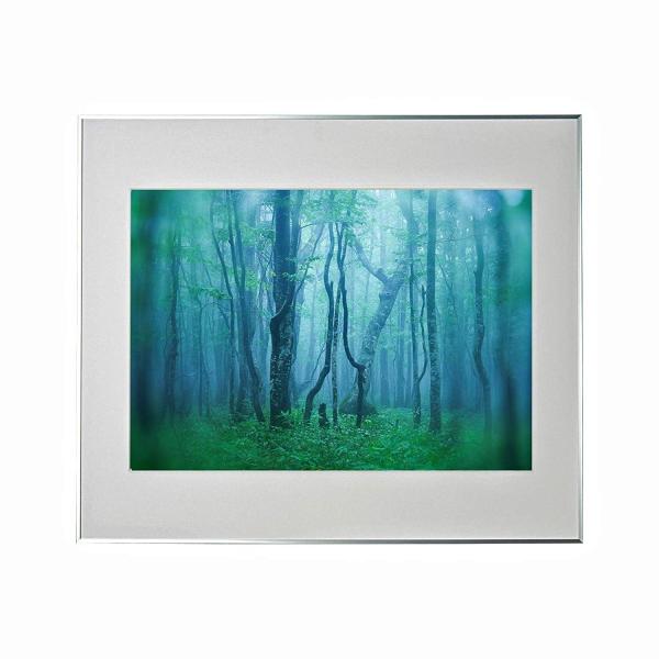 A~z M[ A2 Vo[ AGY-A2-SV PR[EgLi[ 󔭒i