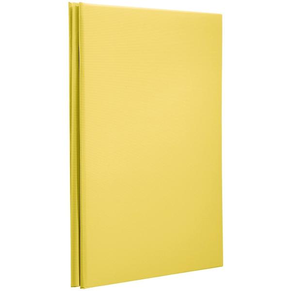 iJoV tGAo 100N䎆 fW^t[Ao A4TCY CG[ AH-A4F-142-Y 󔭒i