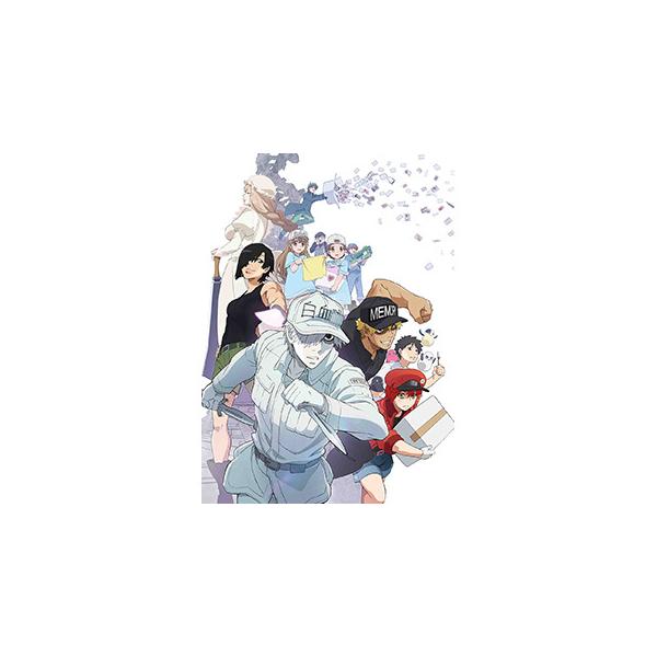 アニプレックス 特別上映版「はたらく細胞!! 」最強の敵、再び。体の中は“腸”大騒ぎ！ 完全生産限定版 BD