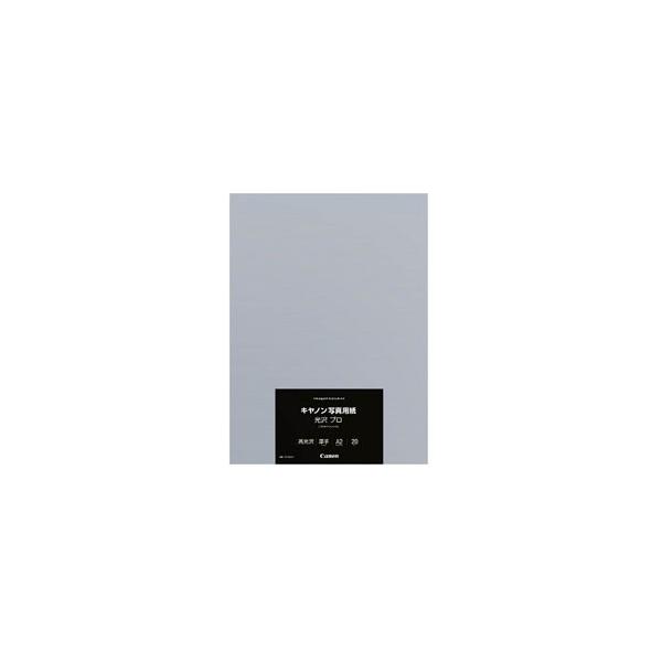 Canon(Lm) yz kCNWFbgl Lmʐ^pE v v`iO[h 0.30mm iA2TCYE20j@PT-201A220