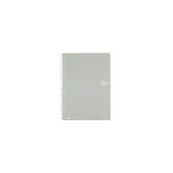 RN [m[g] \tgOm[g (B5ErE80)XSV308S5C 