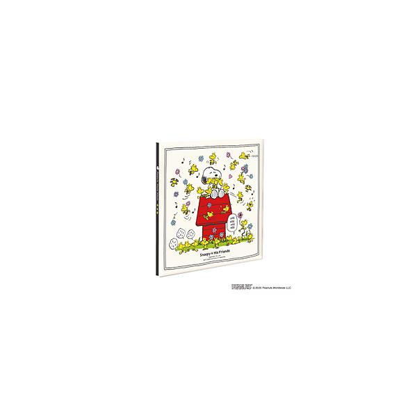 Nakabayashi vR[g t[䎆Ao LTCY Xk[s[N[