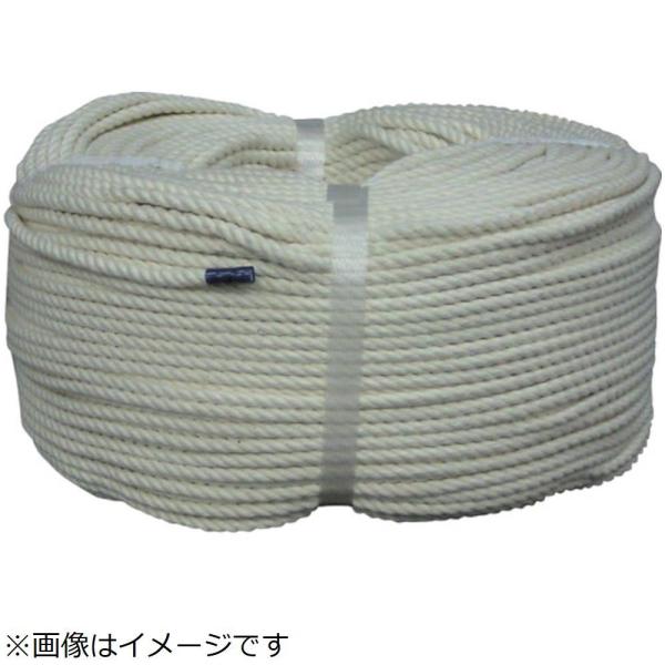 ^JCN ^JCN@[v@ȃ[v@T×QOO