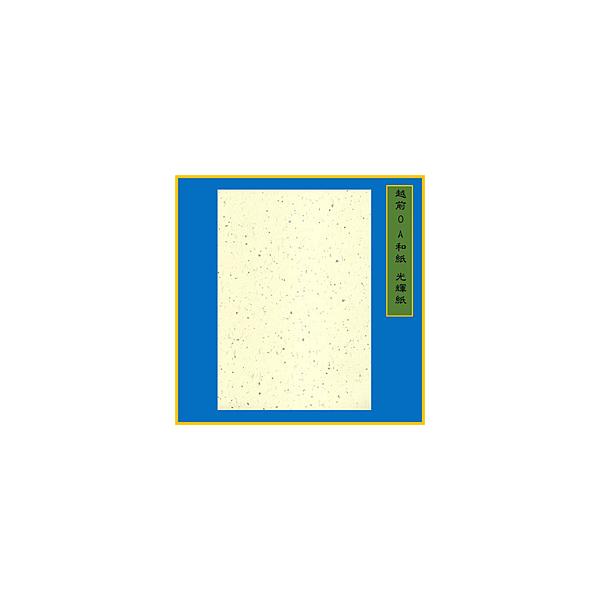 X{ P 70g/m2E0.15mm[B5TCY /20]  N[ ME-102B5