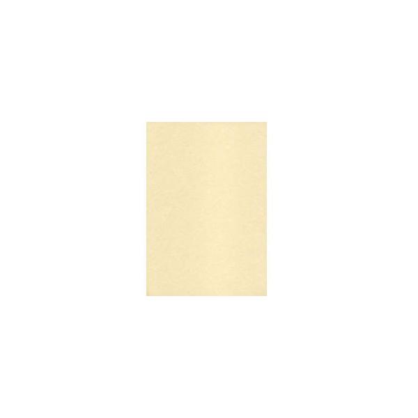 X{ ME-313 NEW̎q  105g/m2 A4(15) 0.22mm y864z