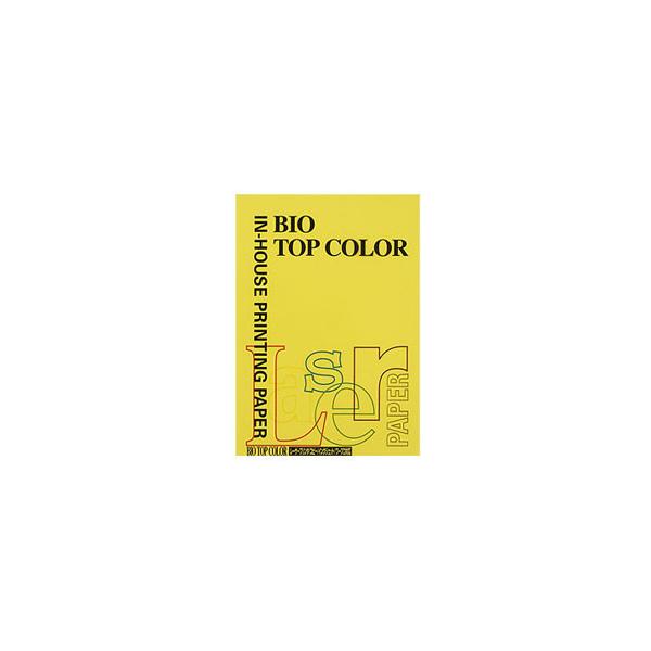 ɓ oCIgbvJ[ }X^[h iA4/80gE100j BT129