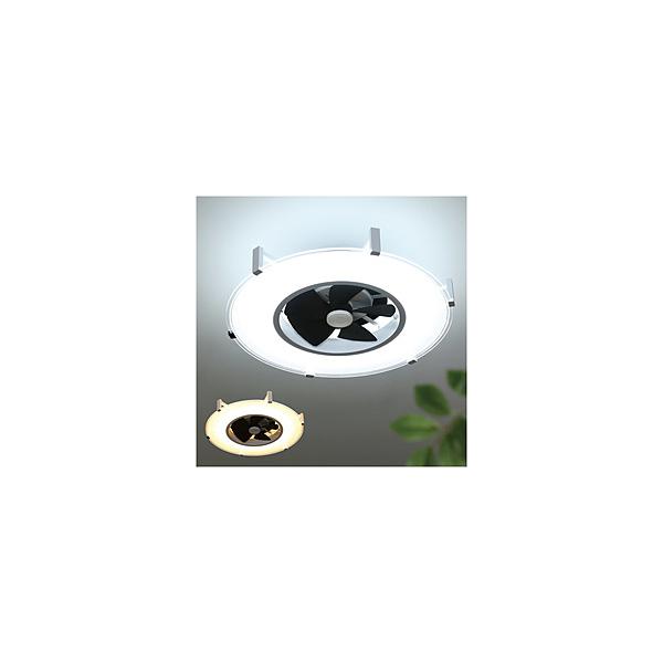 CtIv_Nc Modern Collection plCgT[L[^[ JAVALO ELF  JE-CF029 m14 /dF`F /Rtn