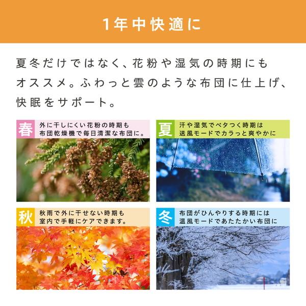 y-sofmap_4967576552080_4_d_20221119180448