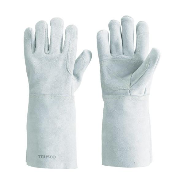 gXRR sqtrbn@Pu[gpnڎ܁@T{w@ȕt