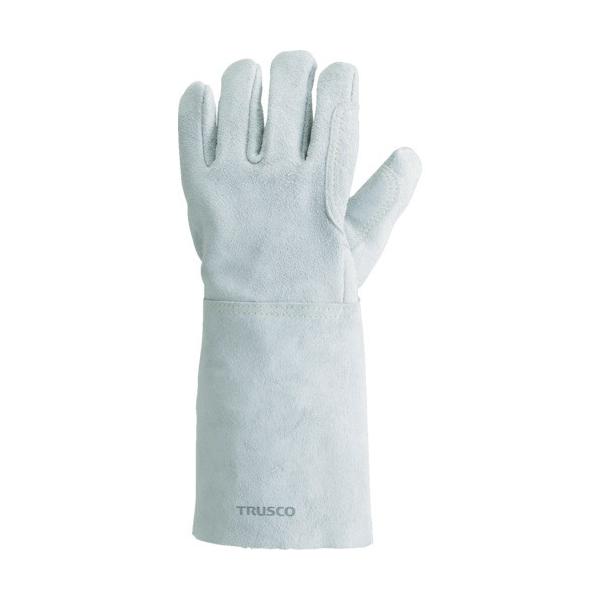 gXRR sqtrbn@Pu[gpnڎ܁@T{w@̂݁@ȕt