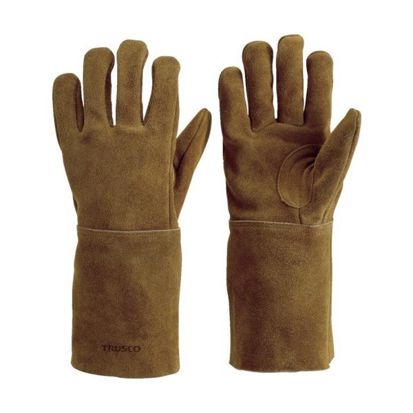 gXRR sqtrbn@ICHvT{wnڎ܁@ȕt