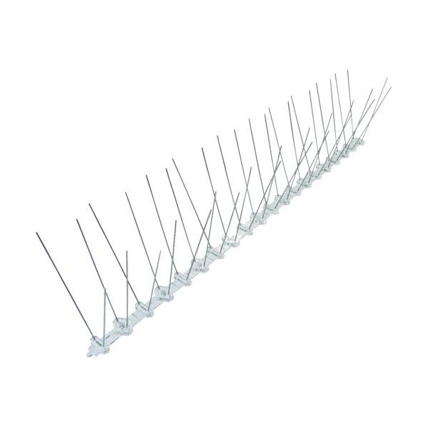 gXRR sqtrbn@悯V[g@XeXs@X@@iPQ{j