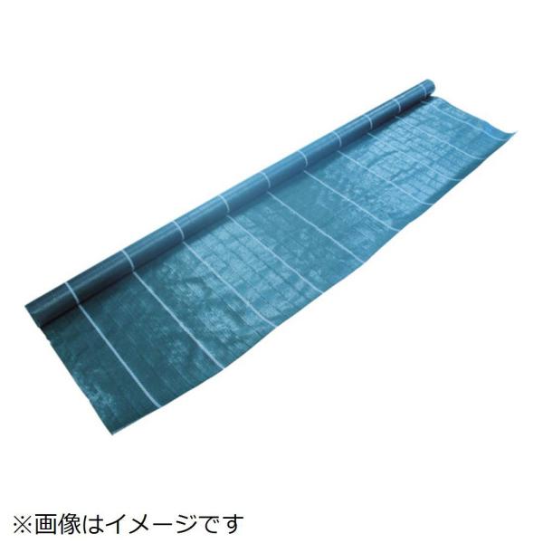 gXRR sqtrbn@hV[g@όRN@PDOTO