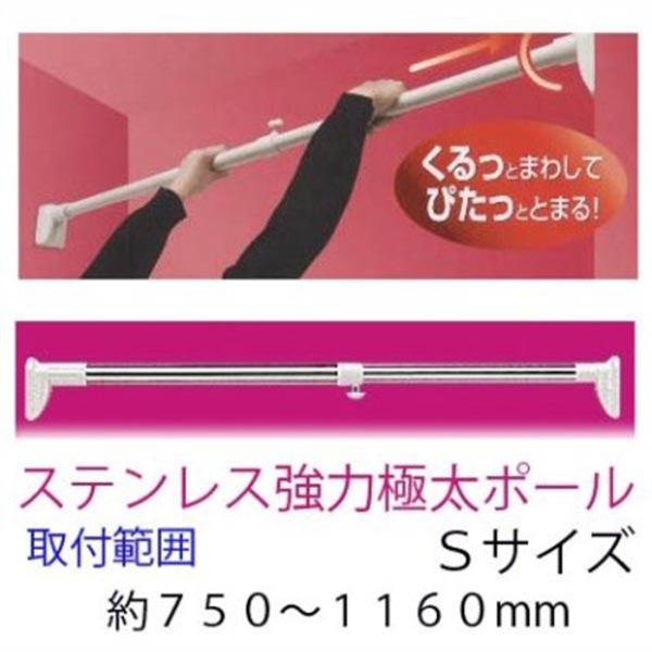 XeXɑ͂ς|[ rTCY ˂_