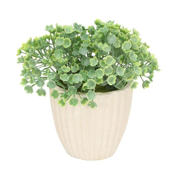 6 lHϗtA C~e[VO[Eh|bgB tFCNO[  zj Vzj  킢 CeA G