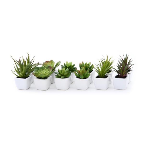 12Zbg A zCg 12pcsA\[g ϗtA CeAO[  Vv _ 