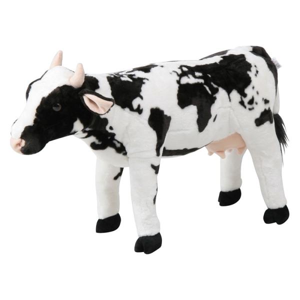 EV([h}bv)  D ʂ v[g  q ̎q  ޏ xbh G zCgf[ j oY a